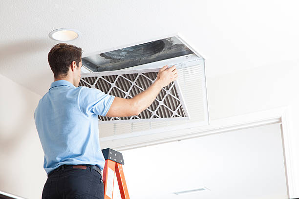 Best Air Filters and Purifiers in Swoyersville, PA